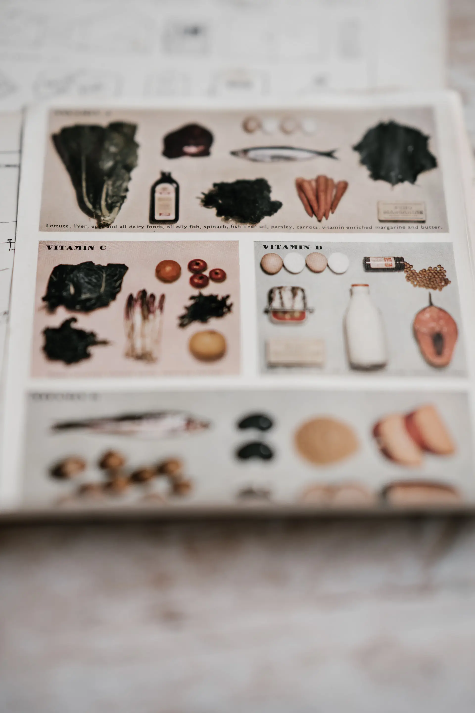 Annie Spratt Xwb1xpn7neq Unsplash